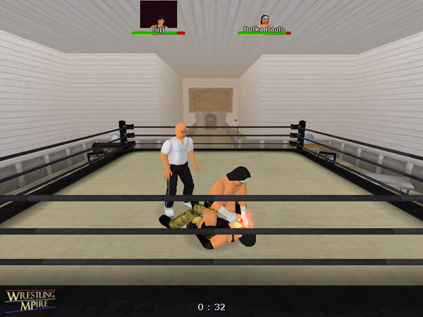 格斗摔角下载_WWF最流行摔角游戏_单机游戏